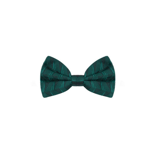 Dolce & Gabbana Green Silk Bowty